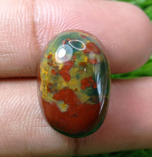 31.8 克拉高品质血石 - 天芥菜 - Hajr-ul-Dam-23x15mm