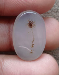 18ct Natural Dendritic Agate - Shajri Aqeeq - Dimension-23x16mm