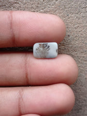 2.4ct Natural Dendritic Agate - Shajri Aqeeq - Dimension-13x8mm