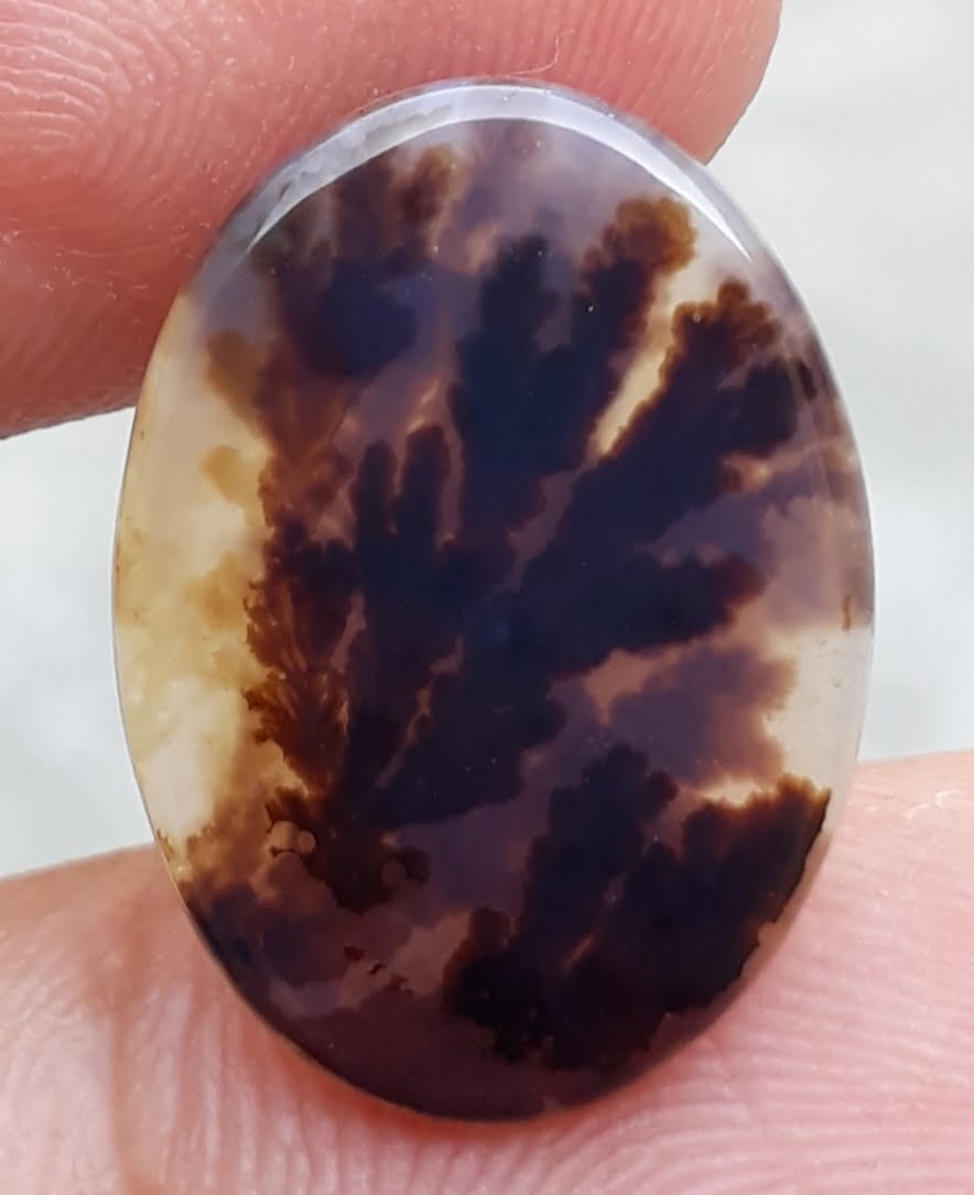 5.8ct Natural Dendritic Agate - Shajri Aqeeq