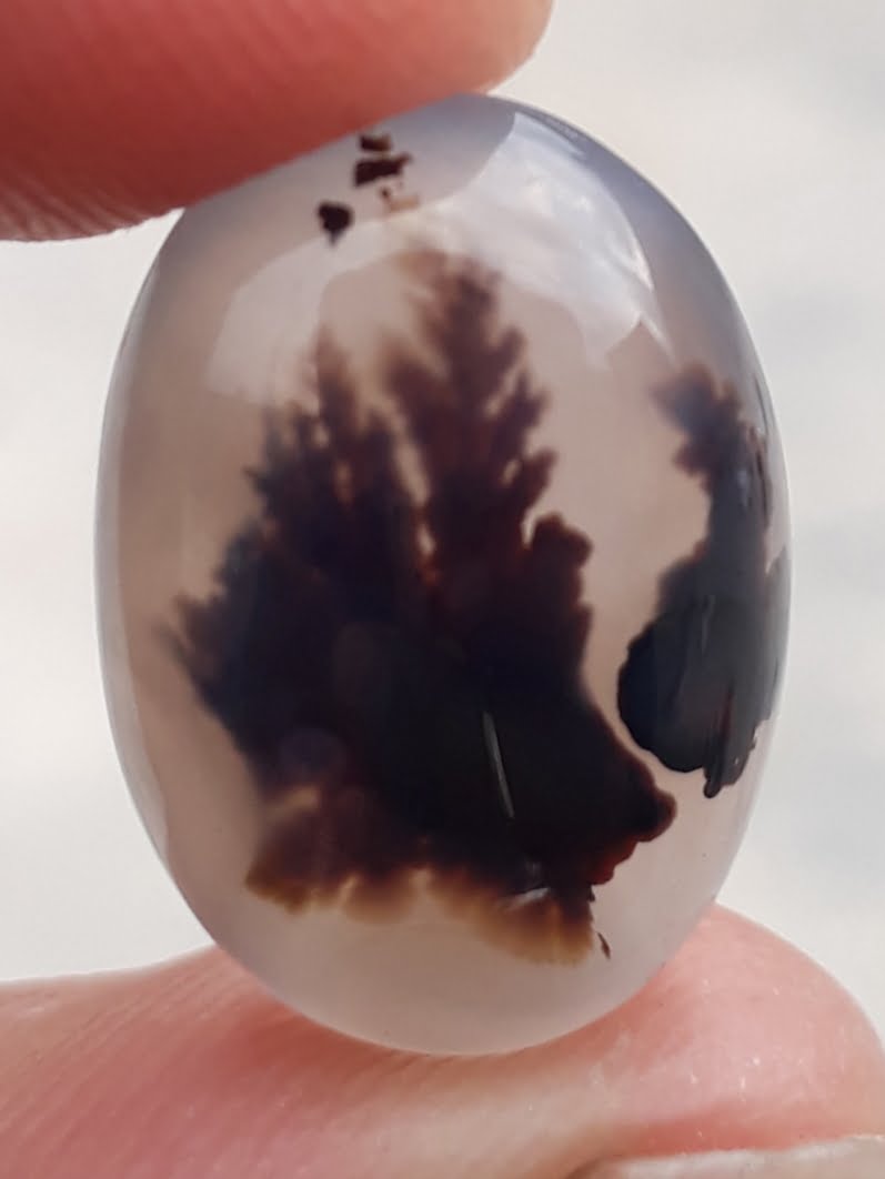 12.4ct Natural Dendritic Agate - Shajri Aqeeq