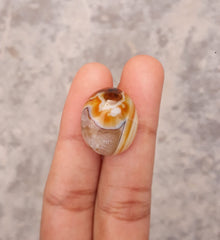 Yellow White Agate - Sulaimani Aqeeq