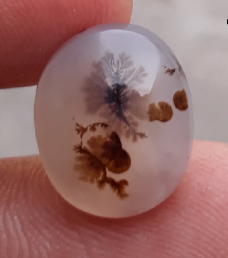 6.6ct Natural Dendritic Agate - Shajri Aqeeq