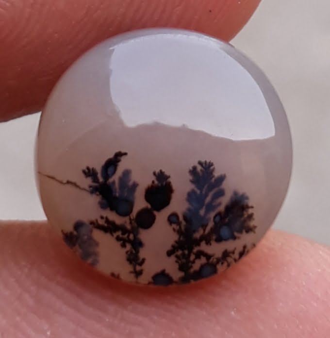 5.7ct Natural Dendritic Agate - Shajri Aqeeq