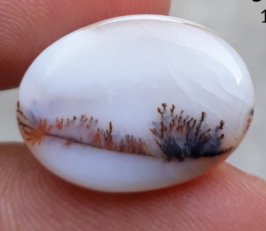 13.8ct Natural Dendritic Agate - Shajri Aqeeq