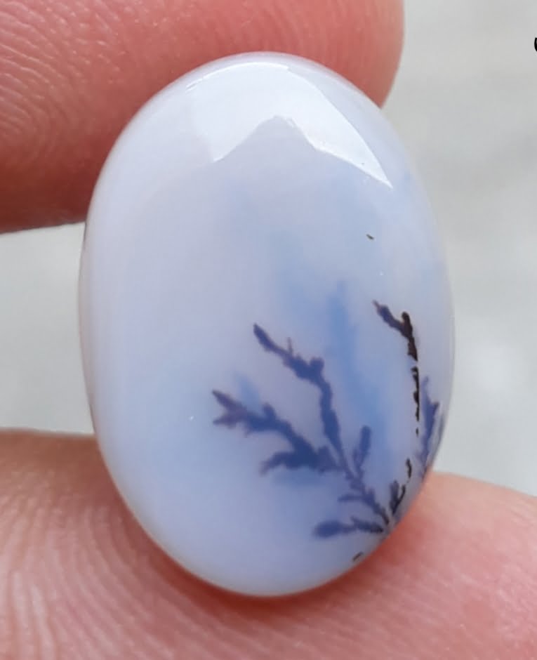 8.6ct Natural Dendritic Agate - Shajri Aqeeq