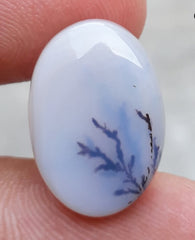 8.6ct Natural Dendritic Agate - Shajri Aqeeq