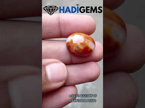 26ct Bi-Color Agate with Orbicular Pattern - Sulaimani Aqeeq - 21x17mm